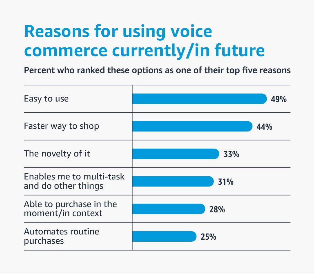 Alexa, help me do my shopping!: How can we improve the Customer Experience  in Voice Commerce?