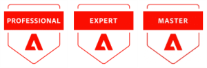 professional-expert-master-logo