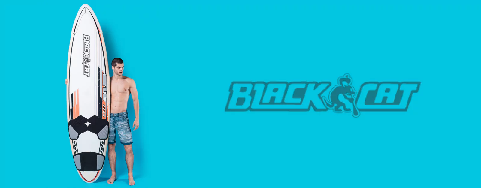 black-cat-banner-third